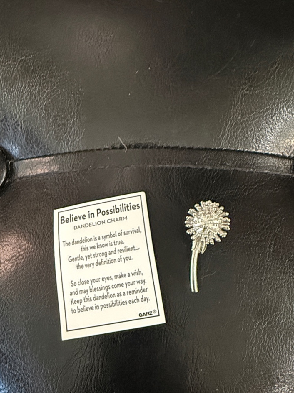 New Ganz Tiny Dandelion Pocket Token Charm & Believe In Possibilities Lucky Card